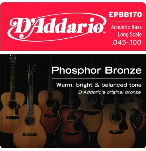 D'ADDARIO EPBB170 45-100 strune za akustično bas kitaro